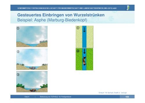 Vortrag zu Totholz in Fließgewässern | PDF 26 MB - GfG