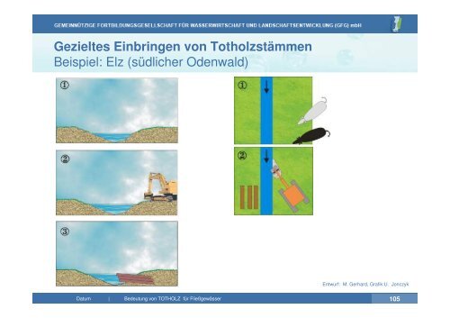 Vortrag zu Totholz in Fließgewässern | PDF 26 MB - GfG