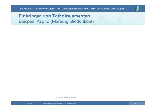 Vortrag zu Totholz in Fließgewässern | PDF 26 MB - GfG