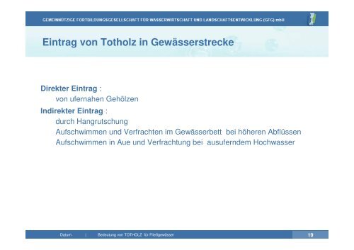 Vortrag zu Totholz in Fließgewässern | PDF 26 MB - GfG