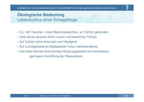 Vortrag zu Totholz in Fließgewässern | PDF 26 MB - GfG