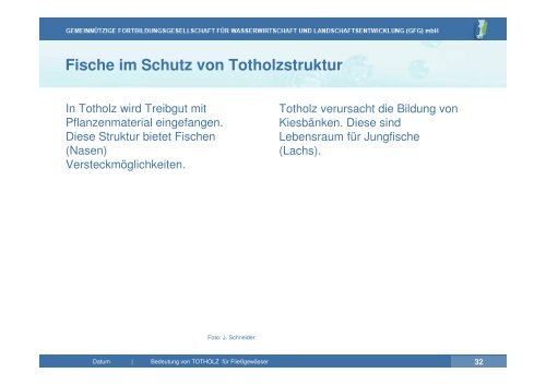 Vortrag zu Totholz in Fließgewässern | PDF 26 MB - GfG