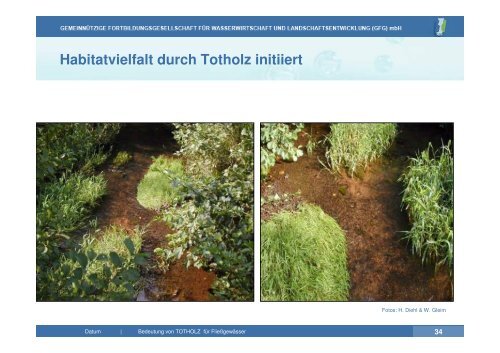 Vortrag zu Totholz in Fließgewässern | PDF 26 MB - GfG