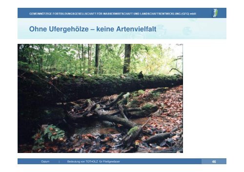 Vortrag zu Totholz in Fließgewässern | PDF 26 MB - GfG