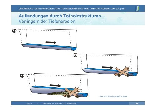 Vortrag zu Totholz in Fließgewässern | PDF 26 MB - GfG