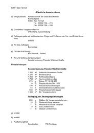 Veröffentlichung Kanalerneuerung Theodor-Wächter ... - Bad Honnef