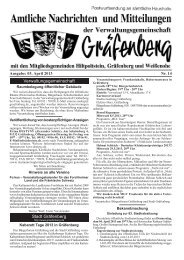 Ausgabe 14 03.04.2013 - Gräfenberg