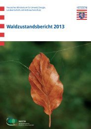 Waldzustandsbericht 2013 ( PDF / 14 MB ) - Hessen