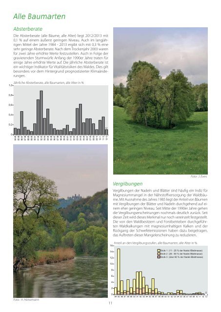 Waldzustandsbericht 2013 ( PDF / 14 MB ) - Hessen