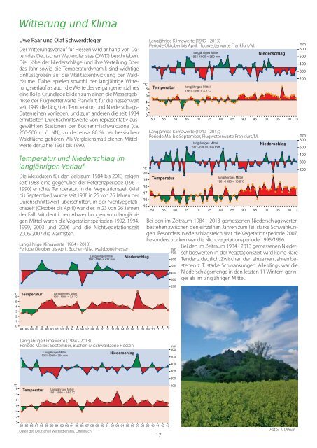 Waldzustandsbericht 2013 ( PDF / 14 MB ) - Hessen