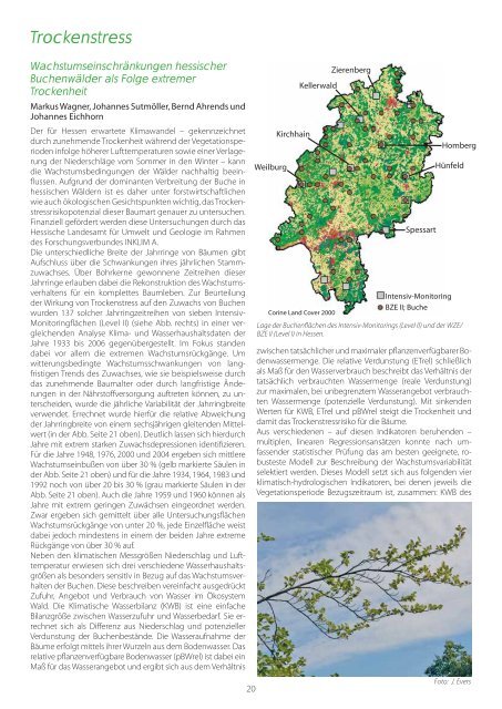 Waldzustandsbericht 2013 ( PDF / 14 MB ) - Hessen