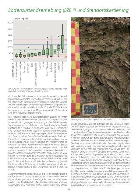 Waldzustandsbericht 2013 ( PDF / 14 MB ) - Hessen