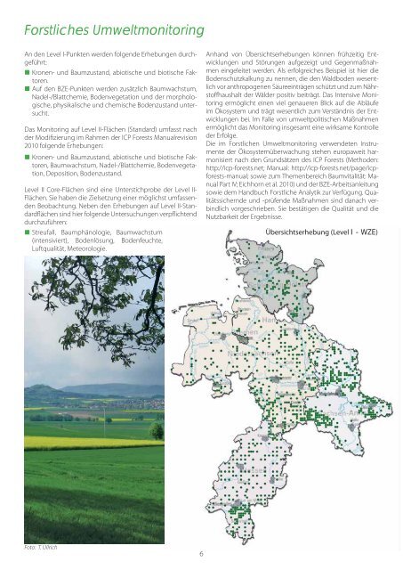 Waldzustandsbericht 2013 ( PDF / 14 MB ) - Hessen