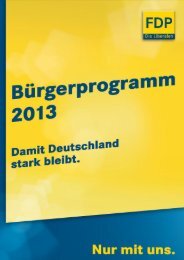 FDP-Bürgerprogramm 2013