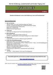 Infobrief - November 2013 - Amt für Ernährung, Landwirtschaft und ...