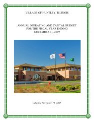 2009 Annual Operating and Capital Budget - Village of Huntley