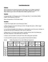 Yeast Respiration Lab