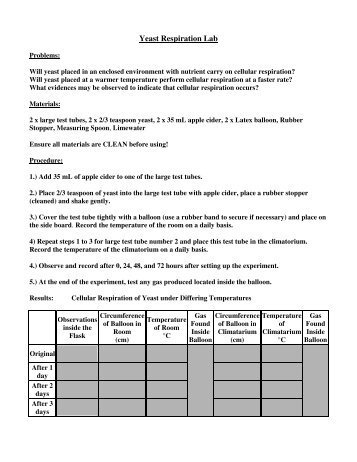 Yeast Respiration Lab