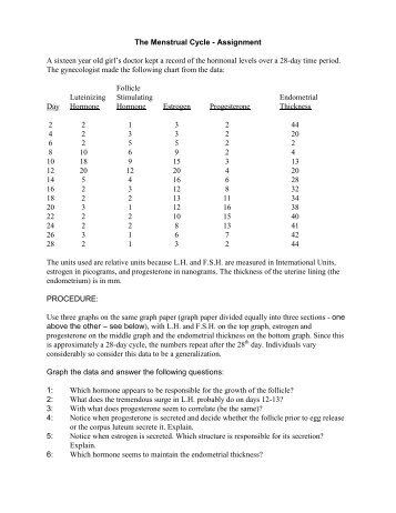 The Menstrual Cycle - Assignment A sixteen year old girl's doctor ...