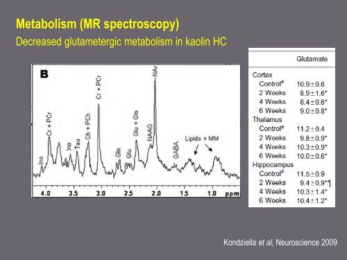 Mechanisms in hydrocephalus revealed by neuroimaging