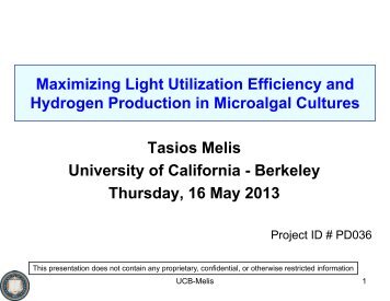 Maximizing Light Utilization Efficiency and Hydrogen Production in ...