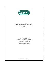 Management Handbuch SKW GmbH