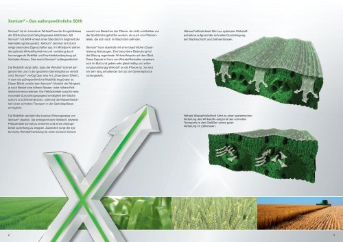 AdexarÂ® AdexarÂ® & DiamantÂ® - BASF Pflanzenschutz Deutschland