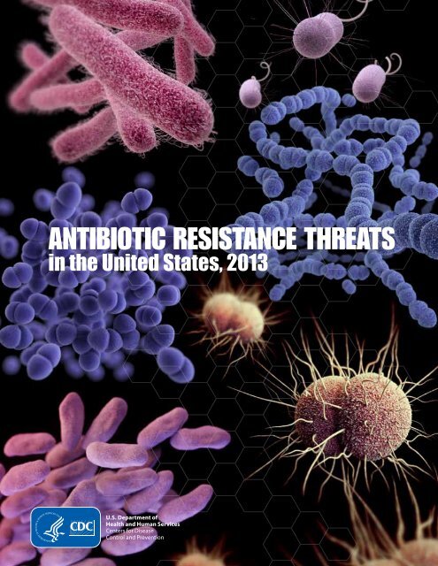 Antibiotic Resistance Threats in the United States, 2013 report