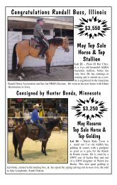 A Few of the May Sale Highlights -  Corsica Horse Sale