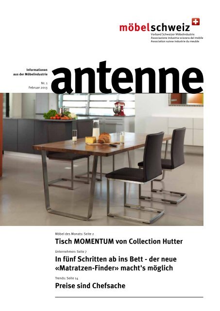 Antenne Februar 2013 - firma-web.ch