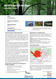 Steckbrief Biesenthaler Becken - NABU-Stiftung Nationales Naturerbe