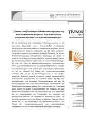 Forschungsexpose - Hypertransformation