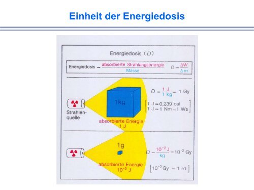 2 Strahlenschutz und Dosimetrie - HZDR