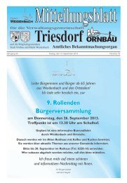 Mitteilungsblatt Nr. 19 vom 13.09.2013 - Markt Weidenbach