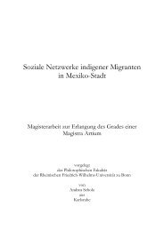 Soziale Netzwerke indigener Migranten in Mexiko-Stadt