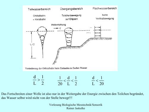 Wellentheorie - Institut für Allgemeine Elektrotechnik, Uni Rostock