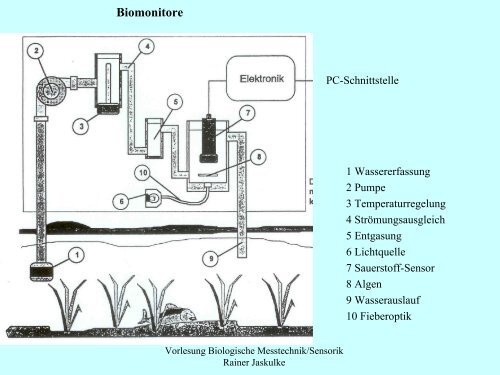 Wellentheorie - Institut für Allgemeine Elektrotechnik, Uni Rostock