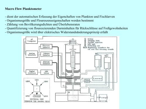 Wellentheorie - Institut für Allgemeine Elektrotechnik, Uni Rostock