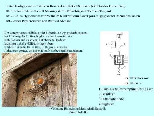 Wellentheorie - Institut für Allgemeine Elektrotechnik, Uni Rostock