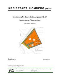 B-Plan Nr. 21-Erweiterung Nr. 5 ... - Homberg (Efze)