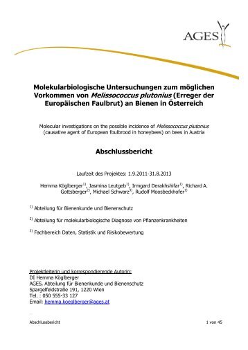 Abschlussbericht (pdf) - AGES