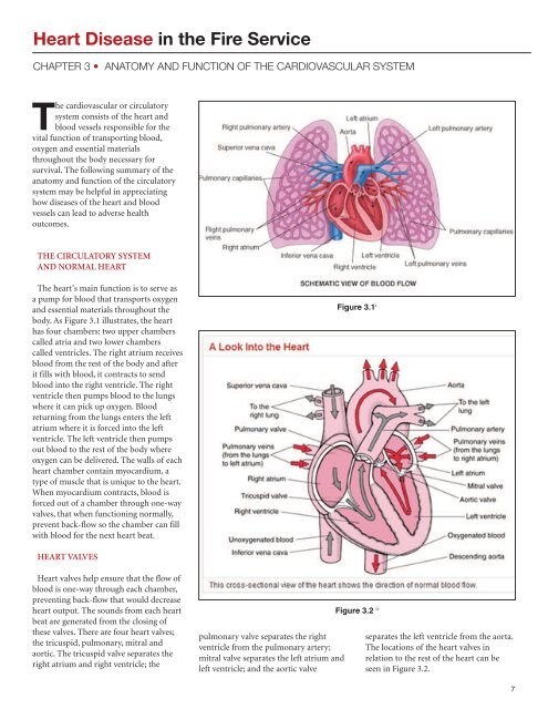 Heart disease in tHe fire service - West Valley City Firefighters, IAFF ...