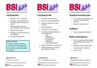 Flyer Bildung und Praxis für arbeitslose Jugendliche - BSI Bildungs