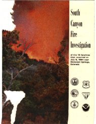 South Canyon Fire Investigation - Storm King Mountain; July 6, 1994