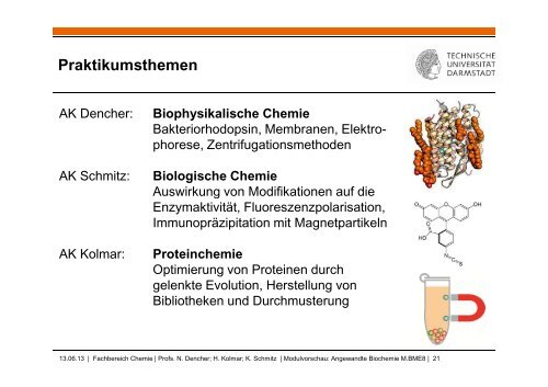 Mastermodule_Vorstellung_SS13 - Fachbereich Biologie der TU