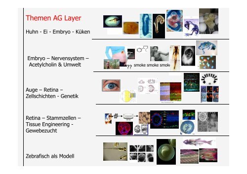 Mastermodule_Vorstellung_SS13 - Fachbereich Biologie der TU