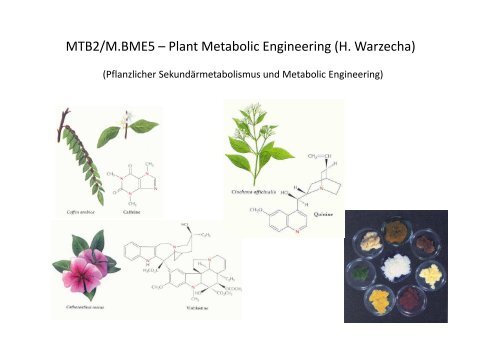 Mastermodule_Vorstellung_SS13 - Fachbereich Biologie der TU