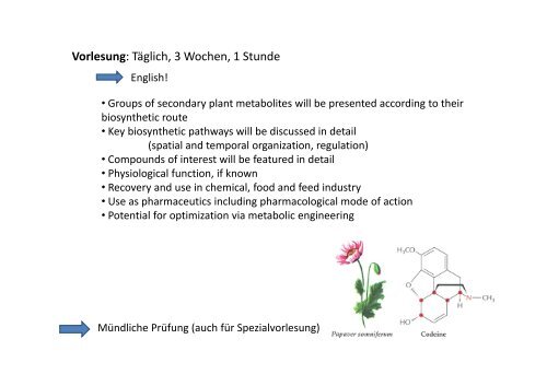 Mastermodule_Vorstellung_SS13 - Fachbereich Biologie der TU