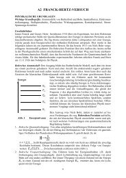 PDF-Datei