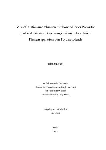 Text anzeigen (PDF) - bei DuEPublico - UniversitÃ¤t Duisburg-Essen